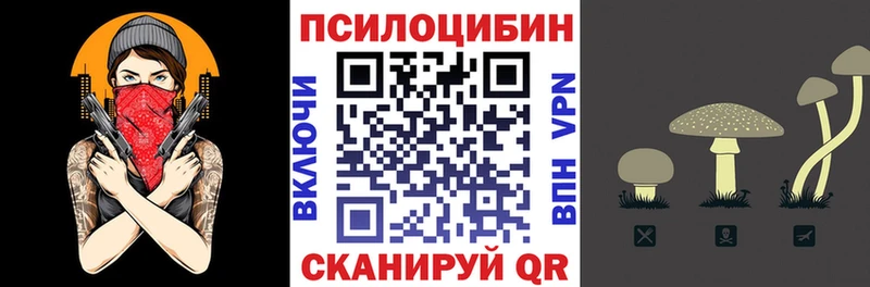 Купить закладки  Благодарный  Галлюциногенные грибы ЛСД 